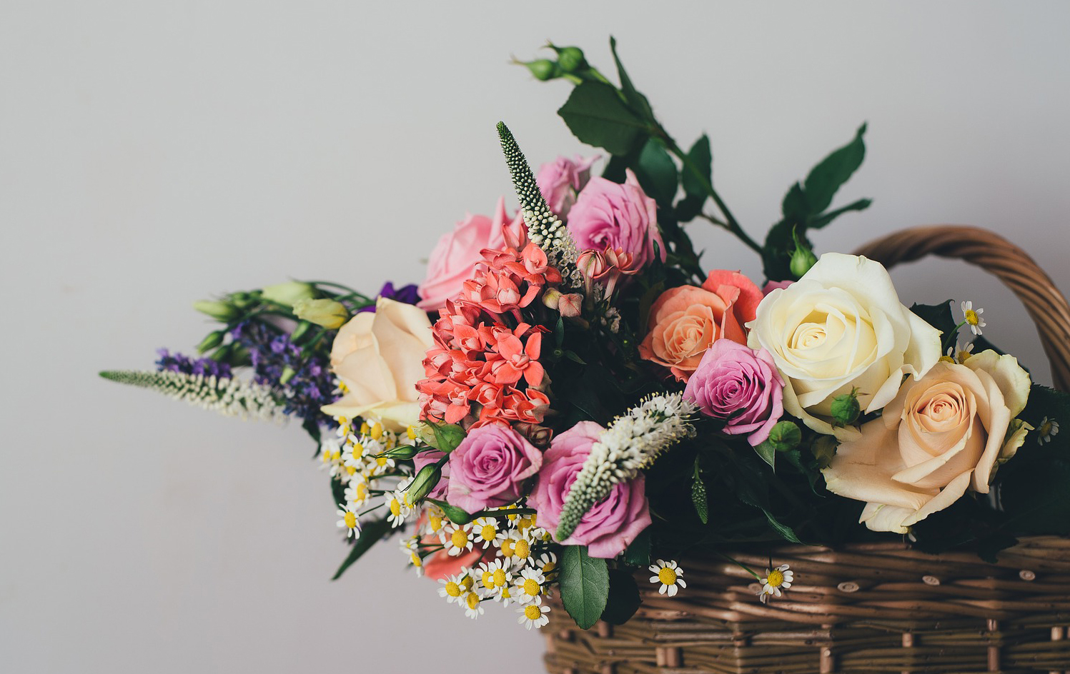Lilac Basket